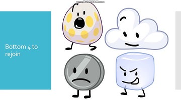 BFB Viewer Voting Episode 28