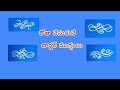 🌺బార్డర్ ముగ్గులు 🌺#border muggulu #youtube vedios #yt vedios #long vedios #muggulu# kolam #rangoli