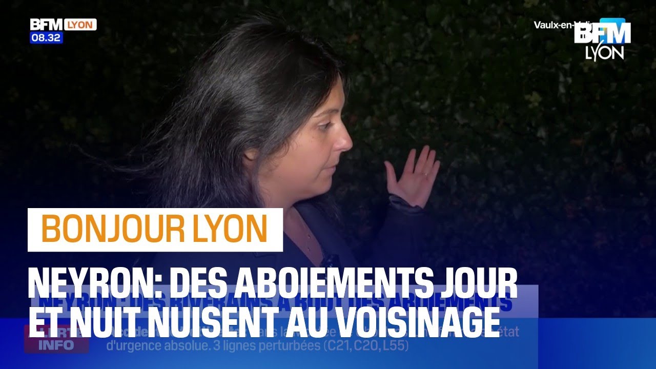 Ain: à Neyron, des riverains à bout à cause des aboiements de chiens