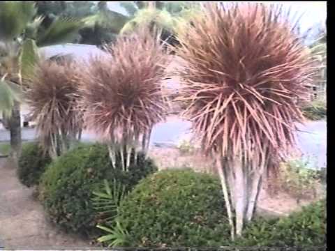 Tak Rela - Guitar Instrumental by zan1948.