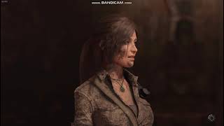 Shadow of the Tomb Raider on AMD FirePro W5130M 2 GB VRAM with Intel Core i5-6300HQ
