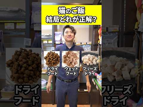 【猫ご飯どれが正解？】ウェットフードばかりあげてるとヤバい？猫のご飯のメリット、デメリットをそれぞれご紹介！