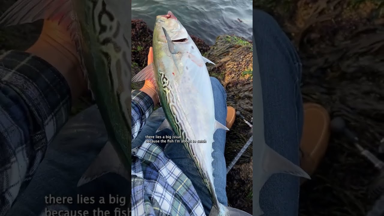 I Caught The WRONG Fish Fishing Shorts