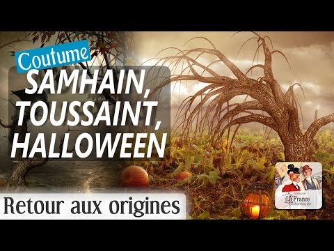 Vidéo: Autocollants Jour Des Morts Et Halloween