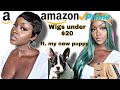 $20 AMAZON WIGS HAUL ft. MY NEW FRENCHIE 🐾❤