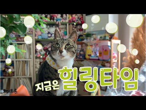 [장난감 나라의 트론이] EP. 71 이 고양이의 힐링타임 │This <strong>Cat</strong>&amp;#39;s Relaxing <strong>Time</strong>