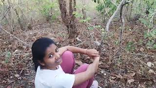 Visited nearby jungle 🫈 🌴🌲 and mountain 🏔️ EMRS walo ke liye khas hai ye video 📷