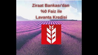 Ziraat Bankasından Kredisi Nasıl Alınır? Sorularınız Varsa Video Altından Yazın.