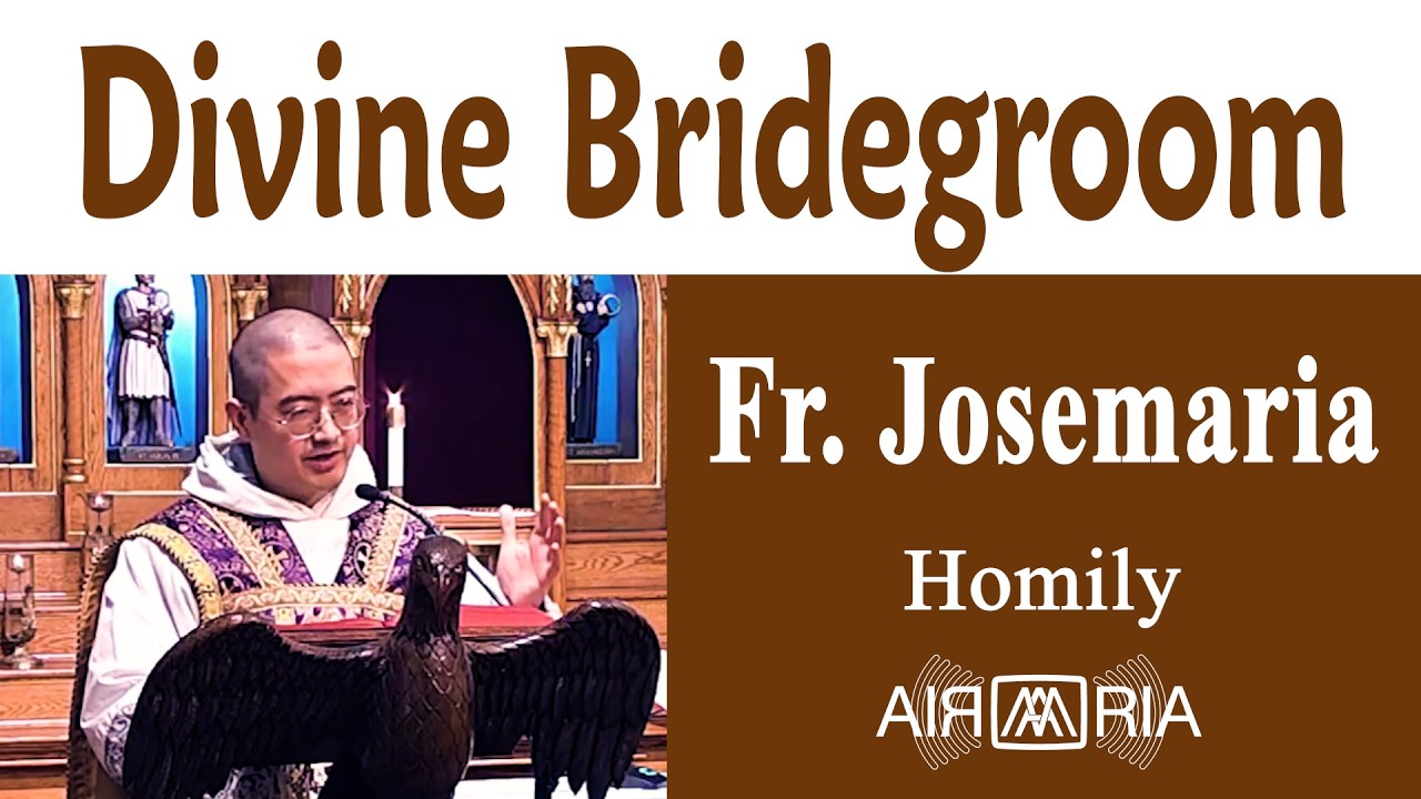 Пост во имя Господа нашего - 20 февраля - Проповедь - Отец Хосемария