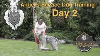 Angel Service Dog Training - Day 2 by DireWolf Dogs of Vallecito, LLC 148 views 2 years ago 9 minutes, 19 seconds