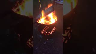 #fire #endgame #firewood #landleben #shorts