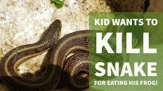 Garter Snake Eats Frog Alive, My Kids Cry