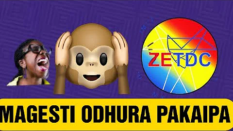 ZESA INCREASED ELECTRICITY TARIFFS •  DAILY NEWS EP145