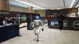 A sneak peek at a robotics competition in southern Chinas Guangdong