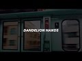 dandelion hands // i like you (lyrics)