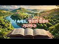 성경 베드로전서 하나님의 말씀 리뷰 투.