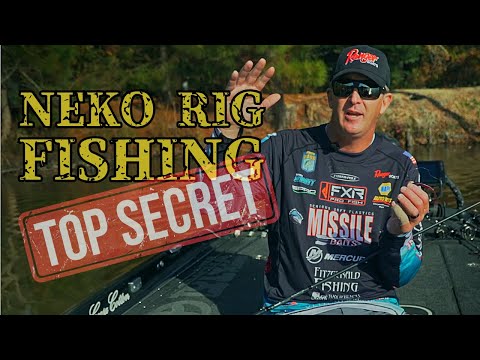 The Ultimate Guide to Neko Rig Bass Fishing - Bryan Schmitt