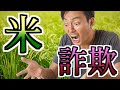 【怖いコピペ】購入した米がおかしい…明らかにヤバい…【ゆっくり2chまとめ】 #shorts #ゆっくり #2ch #2ちゃんねる #5ch #5ちゃんねる