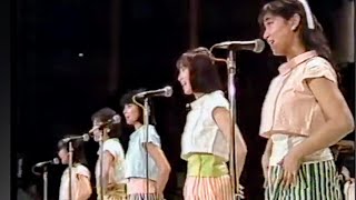 おっとCHIKAN!   おニャン子クラブ