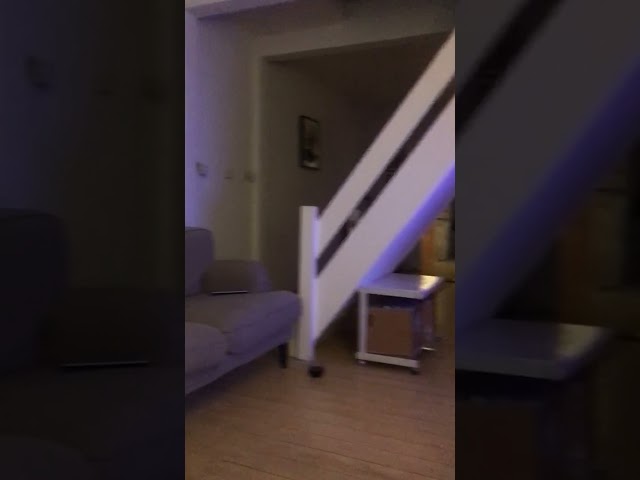 Video 1:
