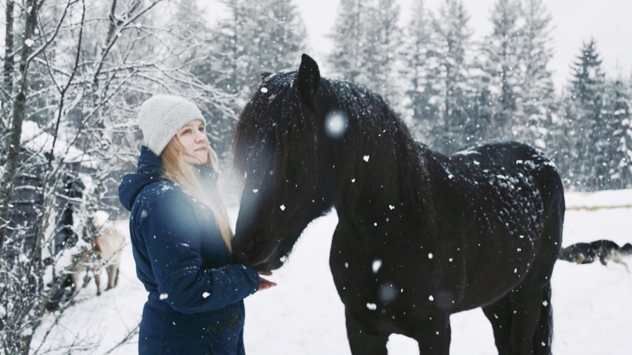 Everything is Different Now - First Weeks with the Horses | #08 Farm Diaries