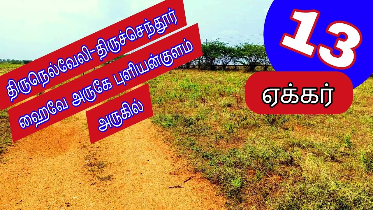 நெல்லை-திருச்செந்தூர்ஹைவேபுளியன்குளம்அருகே 13 ஏக்கர்செம்மண்நிலம்-2434-026.03.02