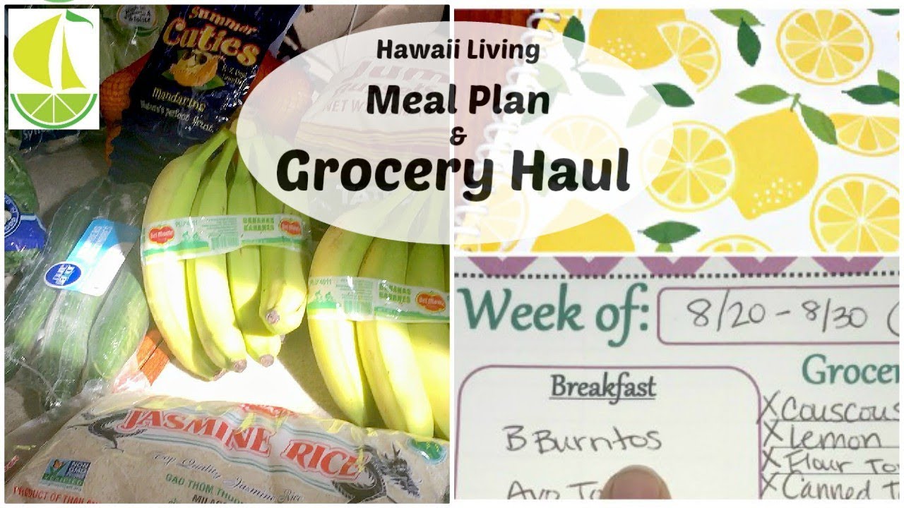 Grocery Haul and Meal Plan with my NEW MEAL PLANNER