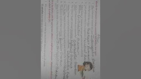 class 8 English grammar book chapter 2 pronoun solve exercise