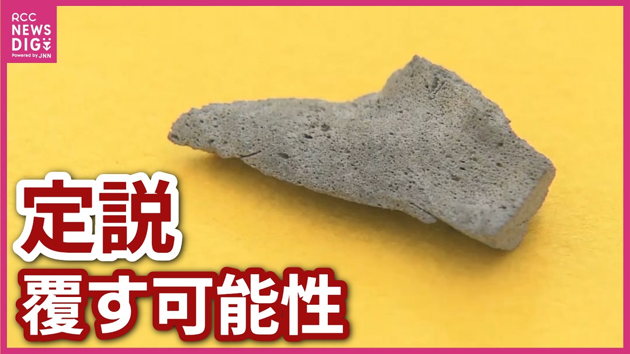 化石 お土産」から貴重なセミ全身化石 約30万年前、小学生姉妹が