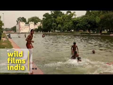 Young boys swim and perform for the camera, Delhi