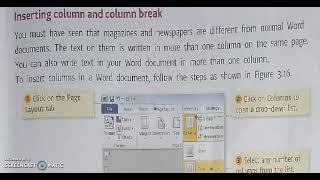 Exclusive Class-5th/Computer/Lesson 3/Inserting column Details