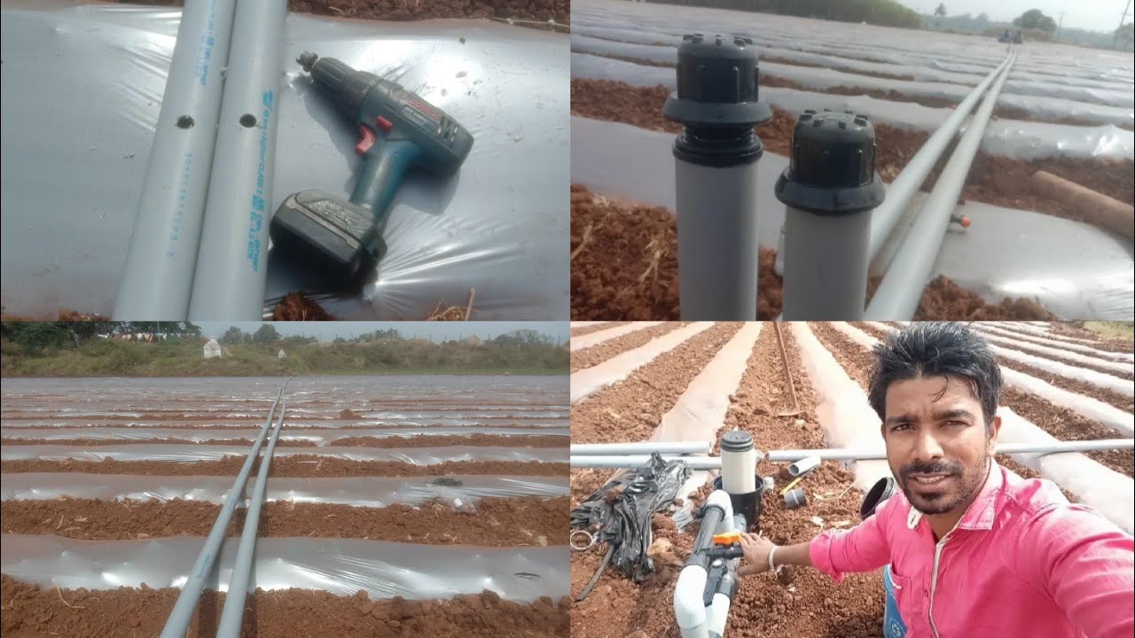 16mm jain pepsi pipe Drip Irrigation Fiting information ठिबक सिंचन