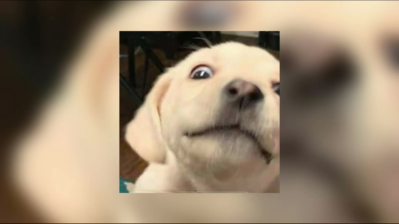 The Weeknd - I Feel It Coming / Sped up