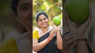 మా ఫామ్ లో స్వచ్ఛమైన పాలు! | Vajra Farms | Dairy Farm Story