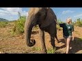 WALKING WITH ELEPHANTS