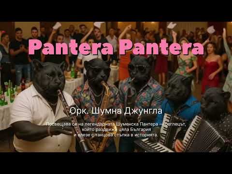 Пантера Пантера Орк Шумна Джунгла Песен за Шуменската Пантера Кючек 2025 