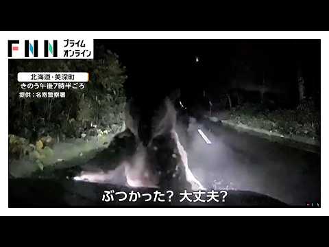 「やばいやばい！」車に向かって突進し襲いかかるクマ　車体には“爪痕”　運転手にけがなし　北海道美深町（2026年09月30日）