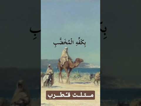 أبيات من مثلث قطرب 