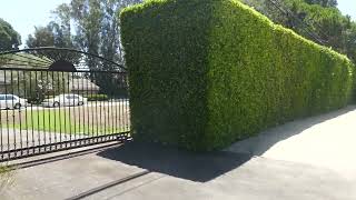 Actor Martin Sheen Former Home House Malibu California USA August 20, 2025