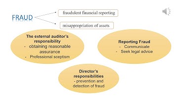 AUD339 Audit Planning and Fieldwork