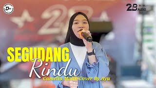 DANGDUT ELECTONE LIVE 2BINTANG AUDIO SEGUDANG RINDU COVER BY AYU