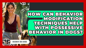 How Can Behavior Modification Techniques Help With Possessive Behavior in Dogs? | Obedient Dog Guide