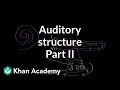 Auditory structure - part 2 | Processing the Environment | MCAT | Khan Academy