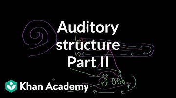 Auditory structure - part 2 | Processing the Environment | MCAT | Khan Academy