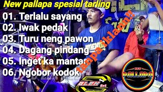 NEW PALLAPA SPESIAL TARLING PILIHAN || TERLALU SAYANG