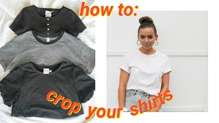 the quickest & easiest way to crop tee shirts (no sewing)
