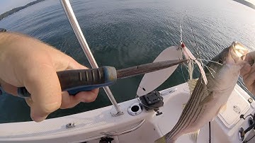 Flutter Spoon Strike Types & Tips for Stripers!