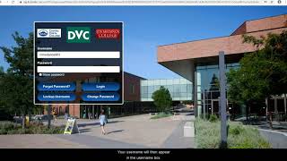 How to reset Insite Password