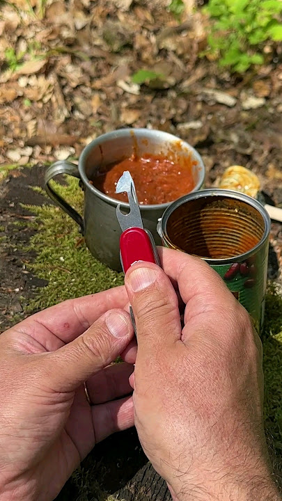 Download lagu Survival Skills: Lifehacks with a Universal Knife. #survival #camping #lifehacks