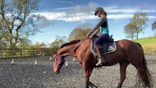 Trying a bit less bridle for the first time